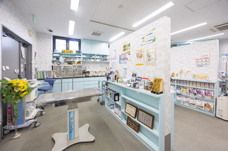 ひまわり動物病院 東寝屋川医療センターphoto