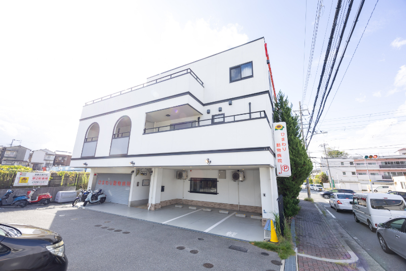 ひまわり動物病院 東寝屋川医療センターphoto