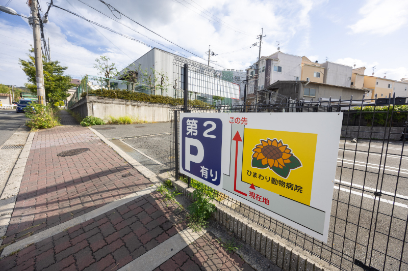 ひまわり動物病院 東寝屋川医療センターphoto