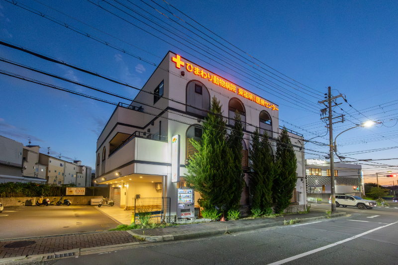 ひまわり動物病院 東寝屋川医療センターphoto