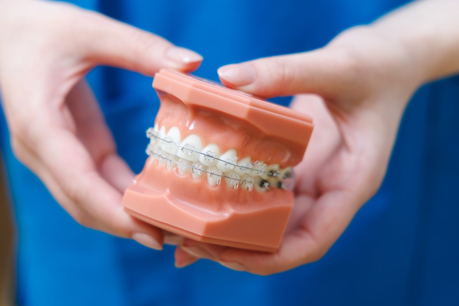 しのぐちこども歯科・きょうせい歯科