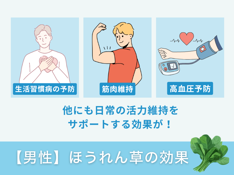 【男性】ほうれん草の効果