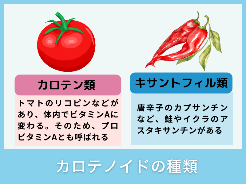 カロテノイドの種類