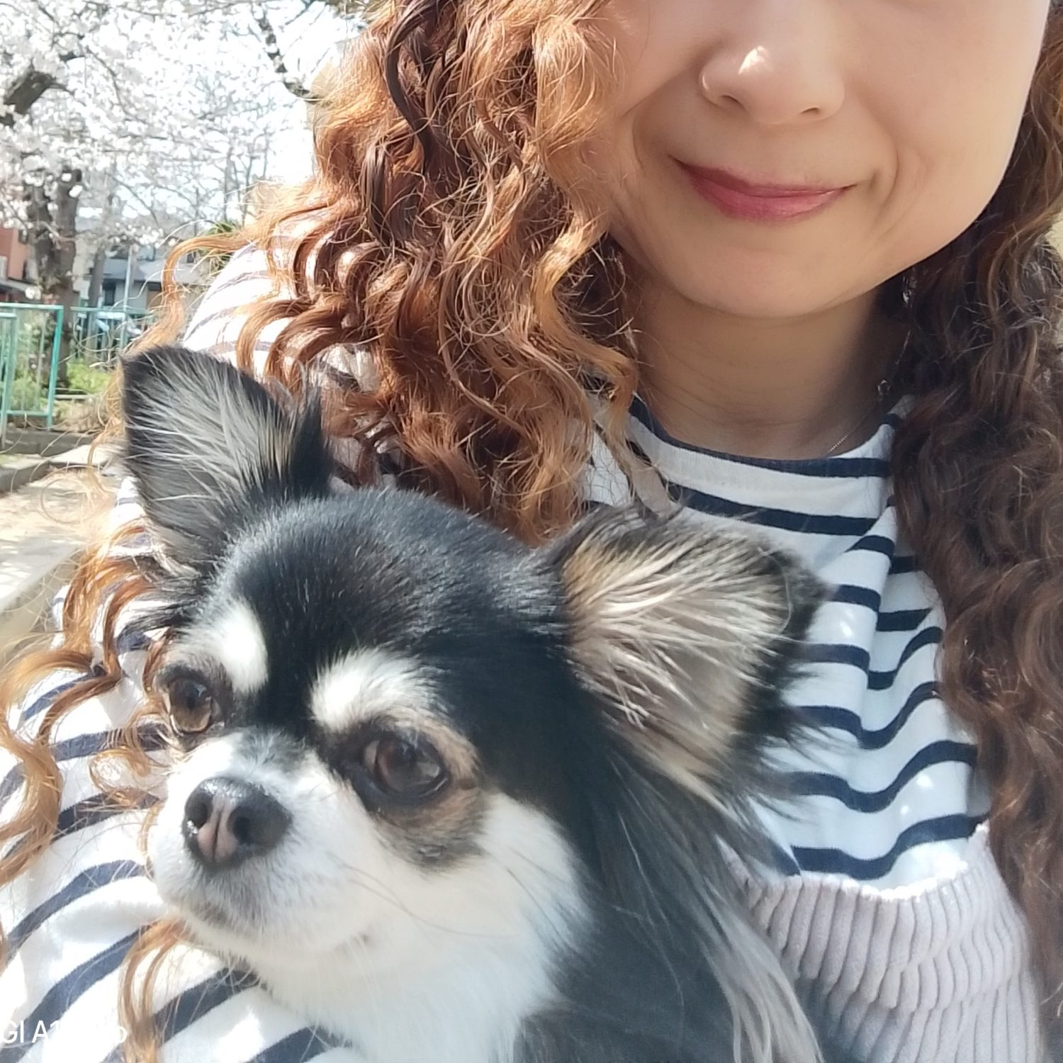 【闘病】『大腸がん』になって後悔。もしも「1年早く検査をしていれば…」