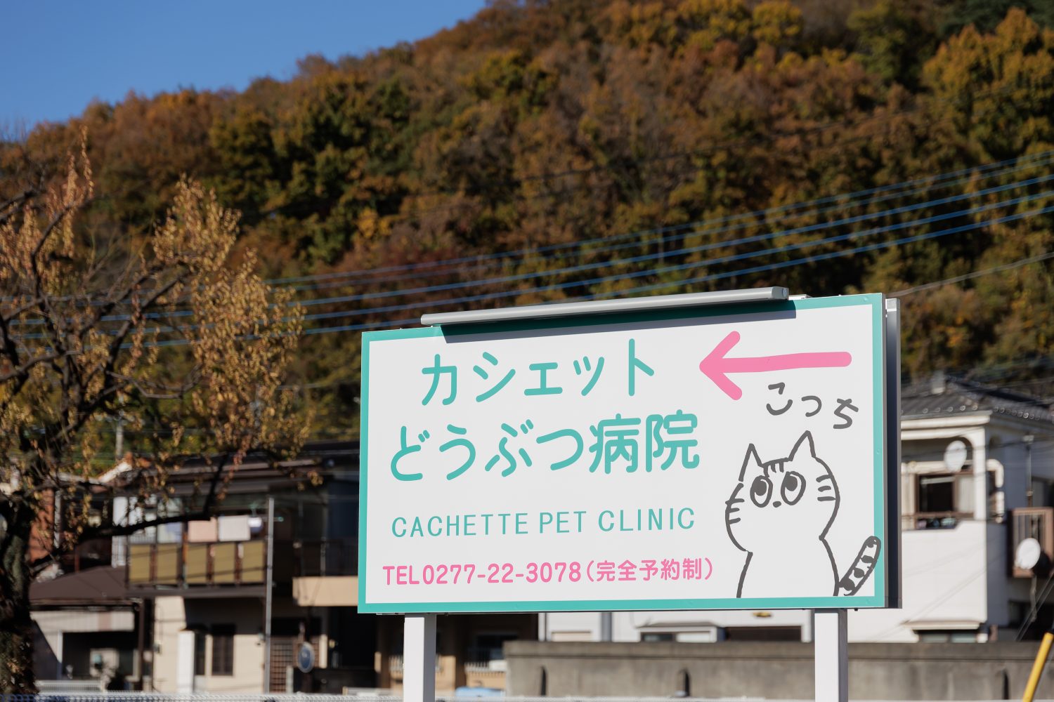 カシェットどうぶつ病院photo