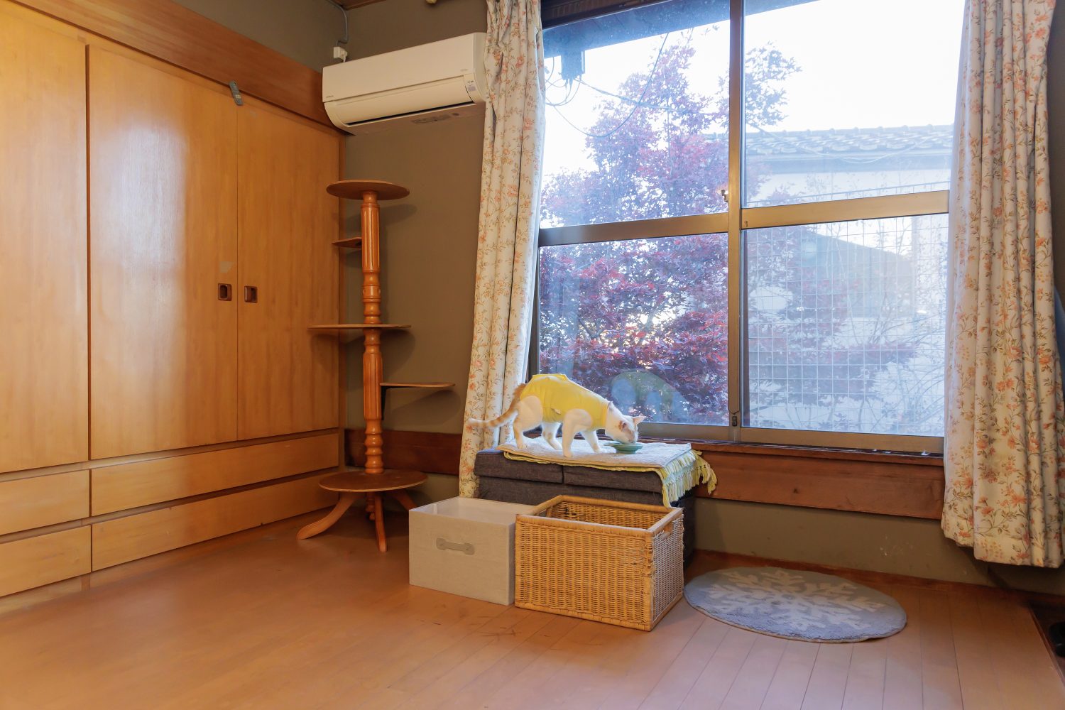 カシェットどうぶつ病院photo