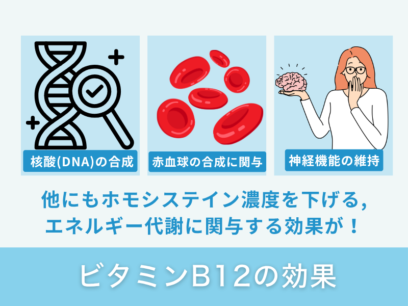 ビタミンB12の効果