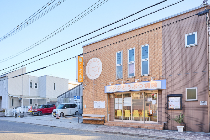 フジタどうぶつ病院photo