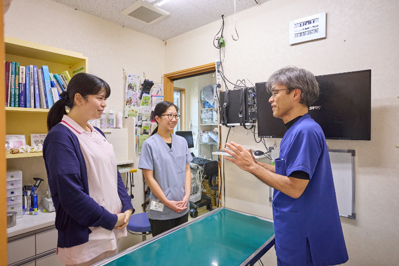 フジタどうぶつ病院photo