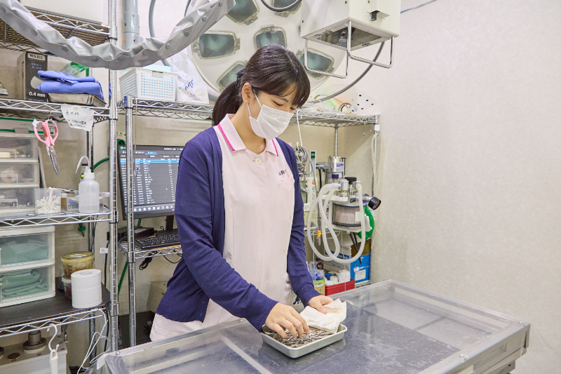 フジタどうぶつ病院photo