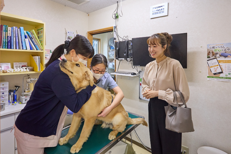 フジタどうぶつ病院はphoto