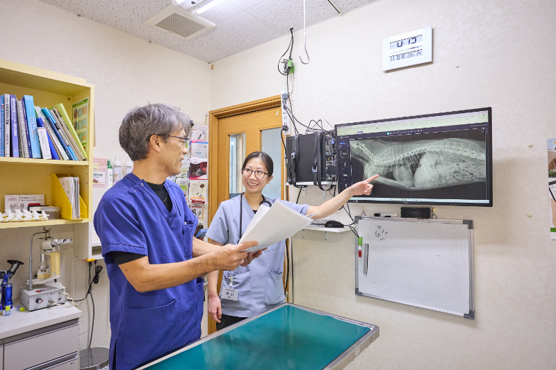 フジタどうぶつ病院photo