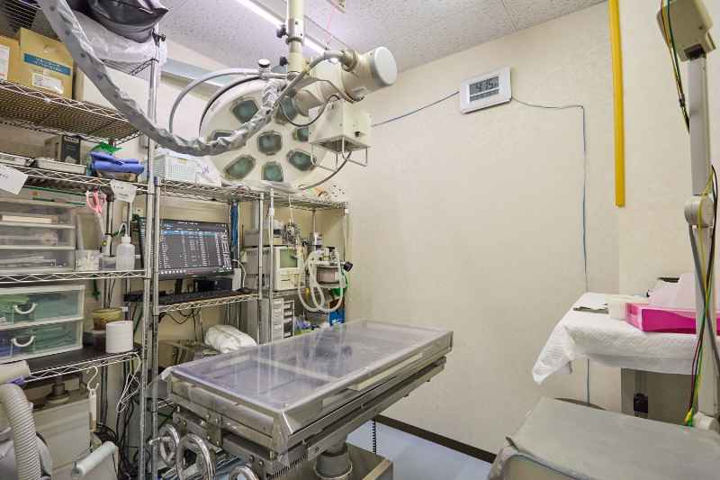 フジタどうぶつ病院はphoto