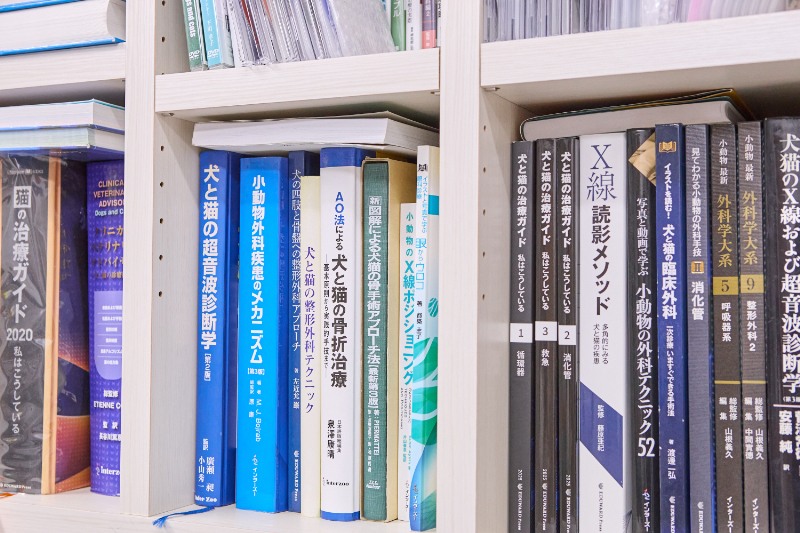 フジタどうぶつ病院photo