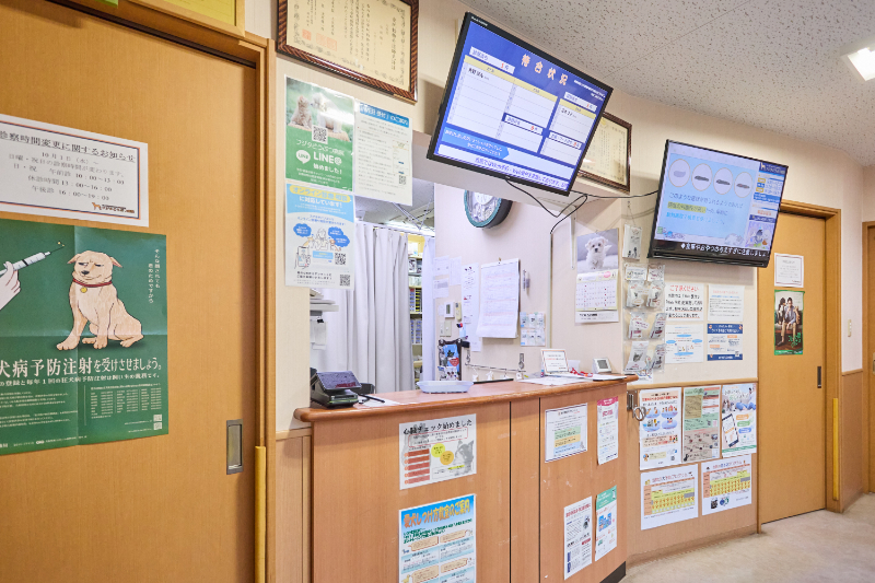 フジタどうぶつ病院photo