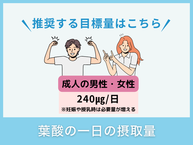 葉酸の一日の摂取量