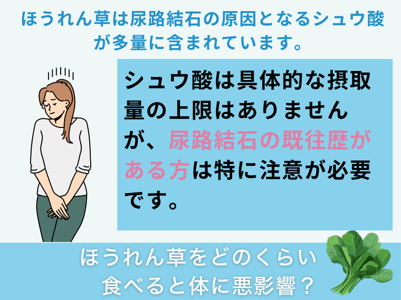 ほうれん草をどのくらい食べると体に悪影響?