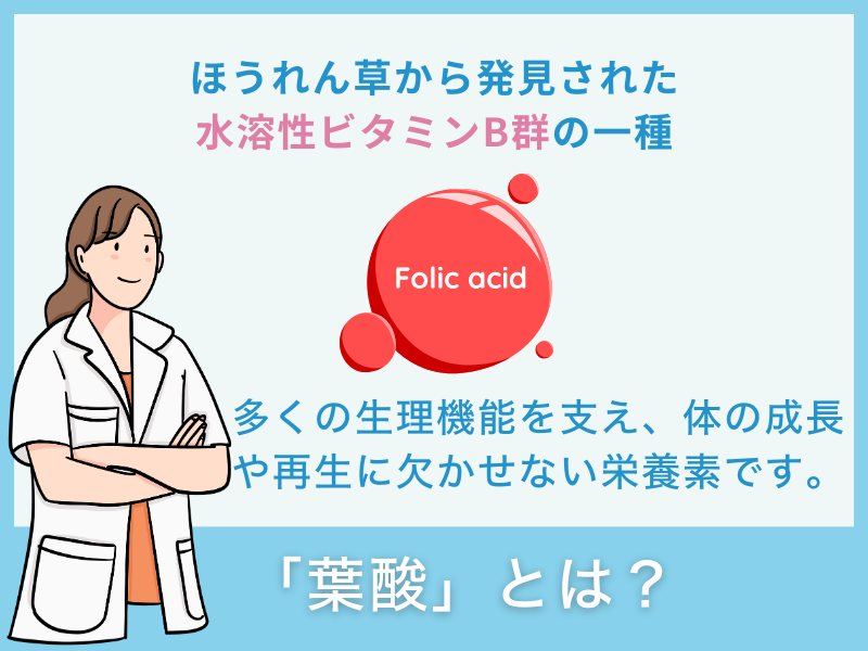 「葉酸」とは？