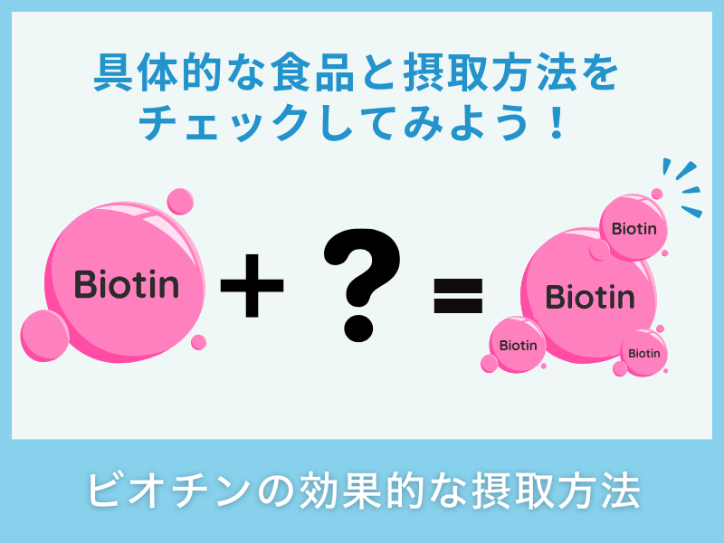 ビオチンの効果的な摂取方法