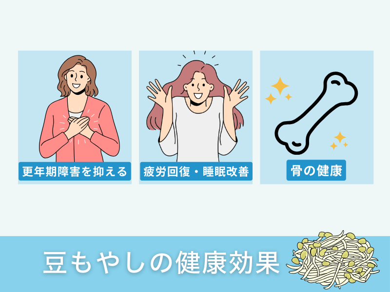 豆もやしの健康効果