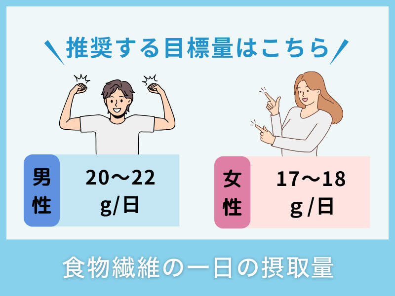 食物繊維の一日の摂取量