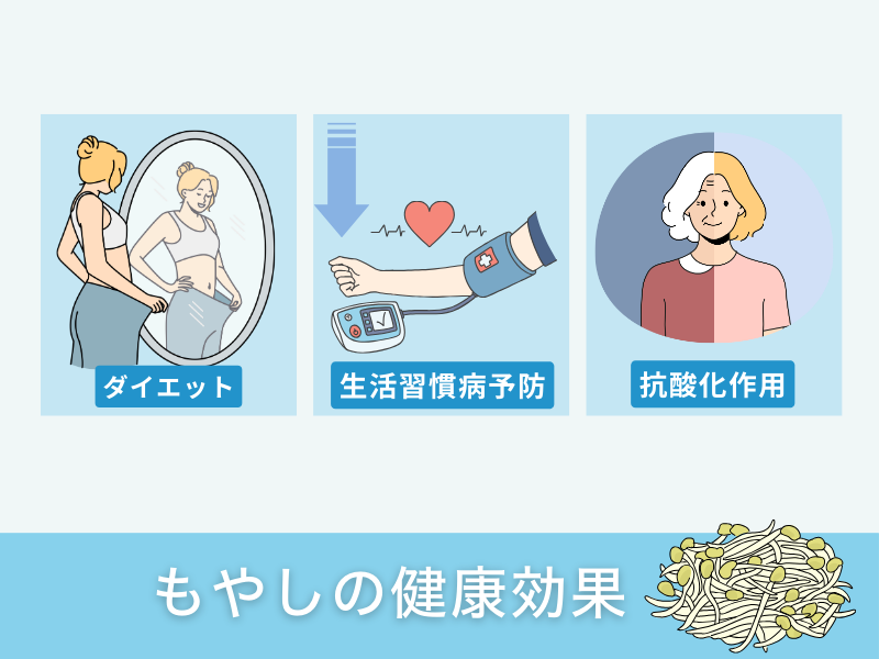 もやしの健康効果
