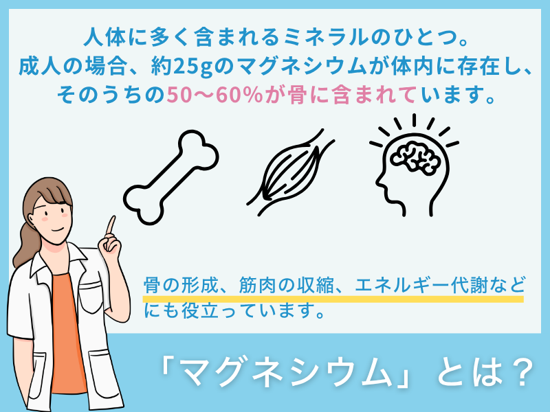 「マグネシウム」とは？