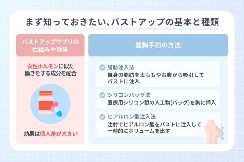 まず知っておきたい、バストアップの基本と種類