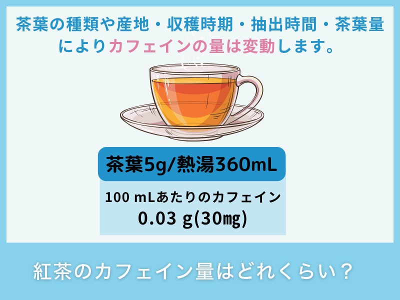紅茶のカフェイン量はどれくらい？