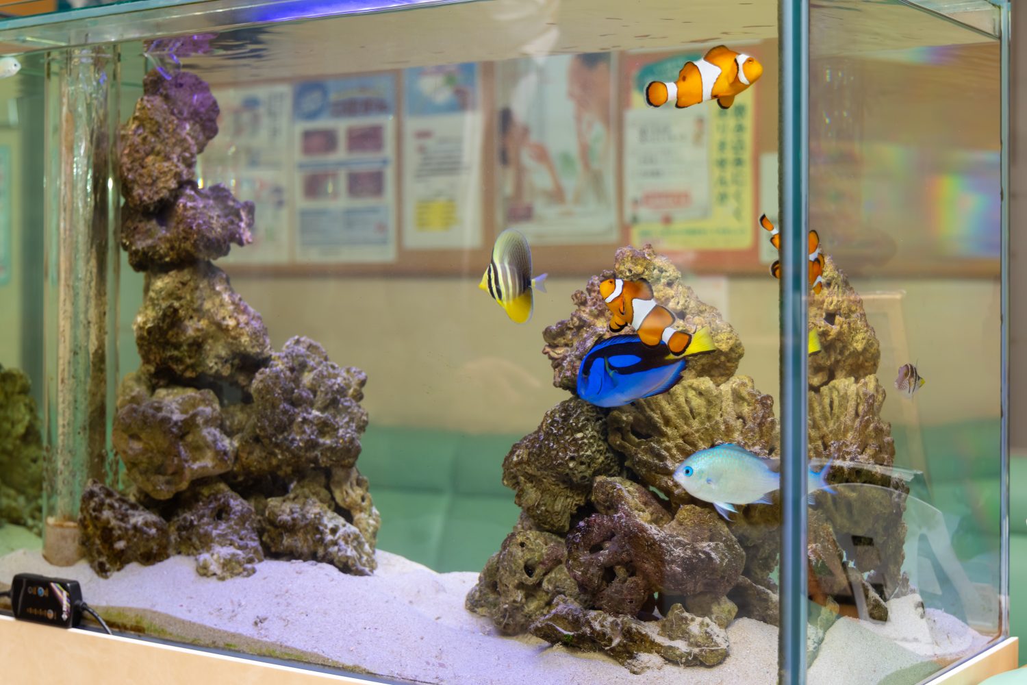 こばやし歯科医院photo