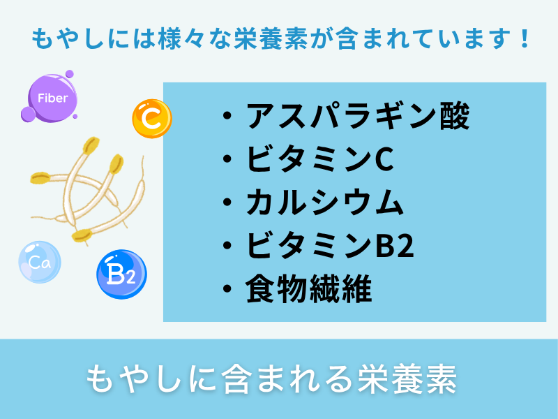 もやしに含まれる栄養素