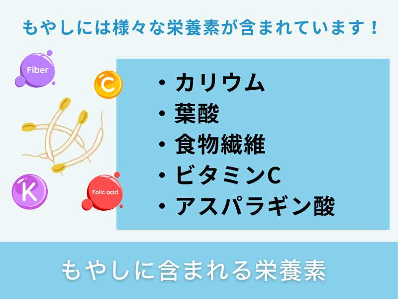 もやしに含まれる栄養素