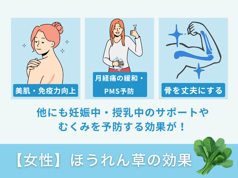 【女性】ほうれん草の効果