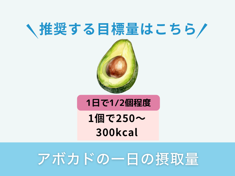 アボカドの一日の摂取量