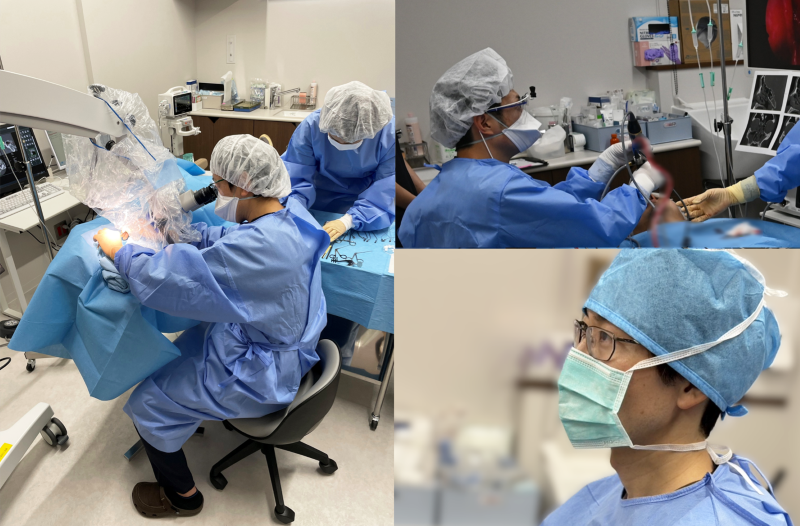 かわせみ耳鼻咽喉科