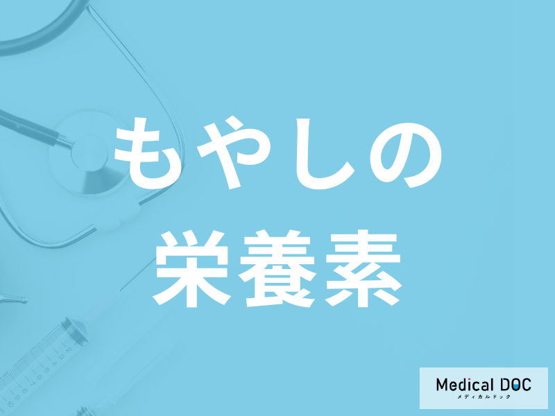 「もやしには何の栄養素」があるかご存知ですか？健康効果も管理栄養士が解説！