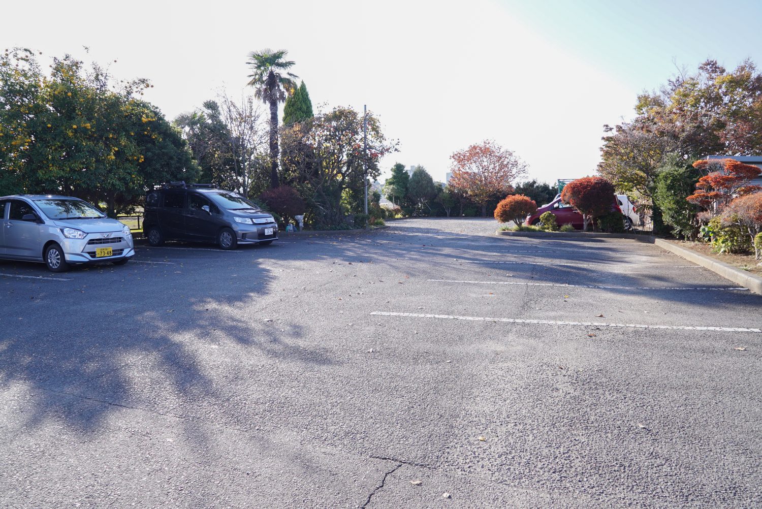 岡村内科医院photo