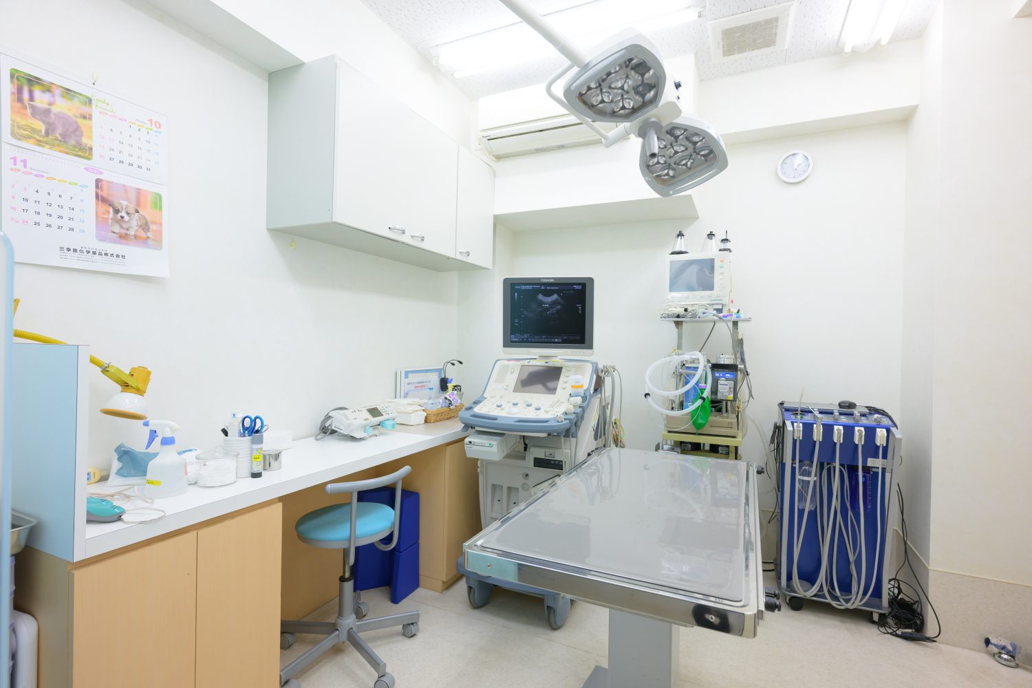 たまプラーザどうぶつクリニックphoto