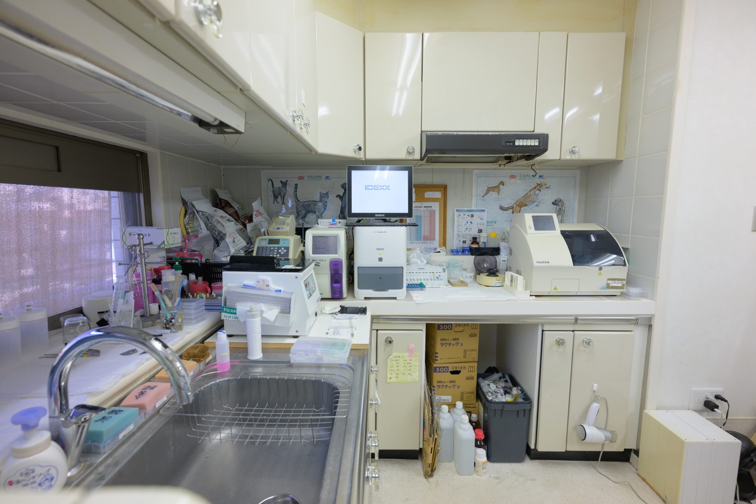 たまプラーザどうぶつクリニックphoto