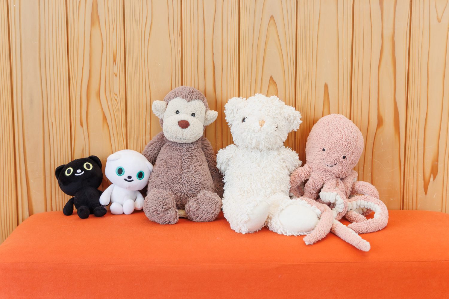 今村歯科医院photo