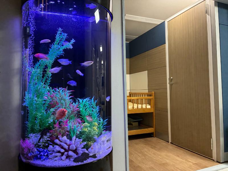 善行団地石川医院photo