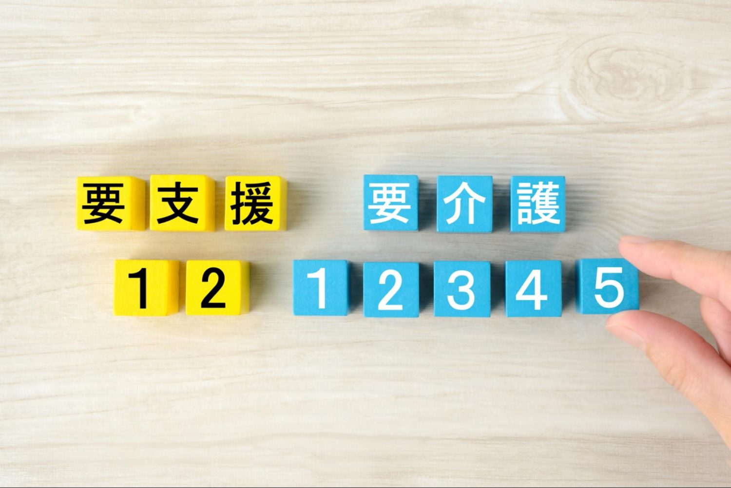 要介護認定｜区分別の基準