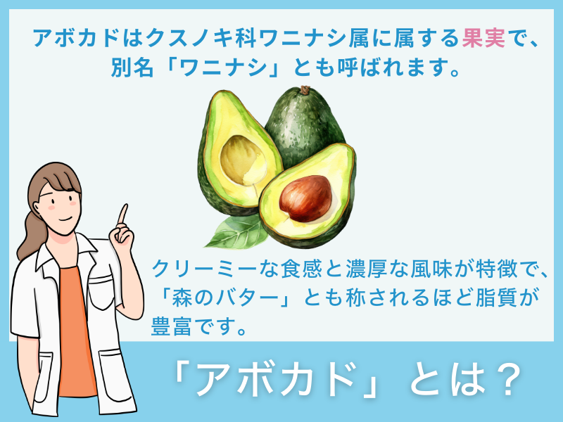 「アボカド」とは？