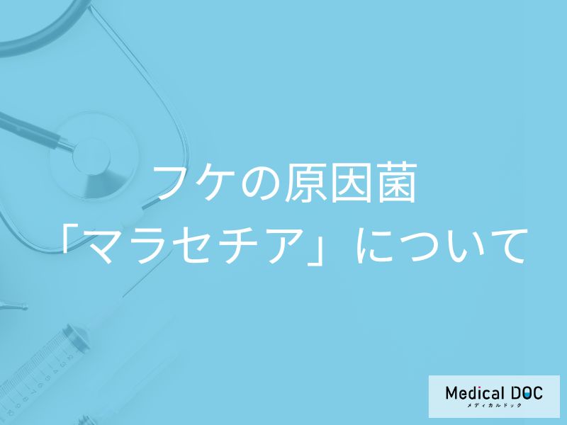 フケの原因菌「マラセチア」の正体は頭皮の“カビ”! 増殖を防ぐシャンプーと生活習慣【医師解説】