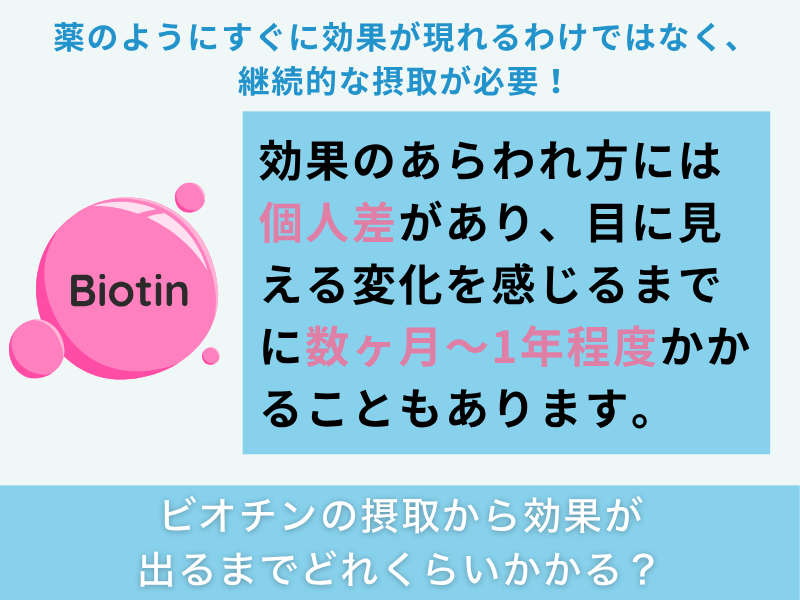 ビオチンの摂取から効果が出るまでどれくらいかかる？