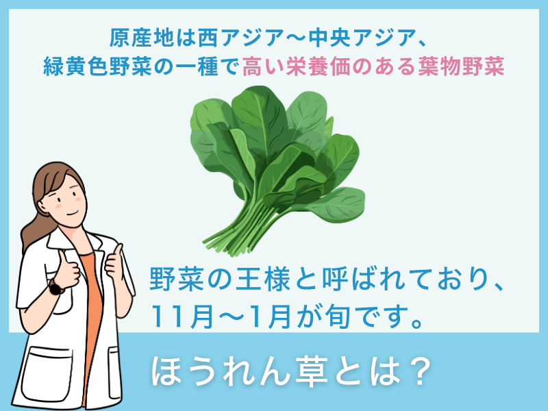 ほうれん草とは?