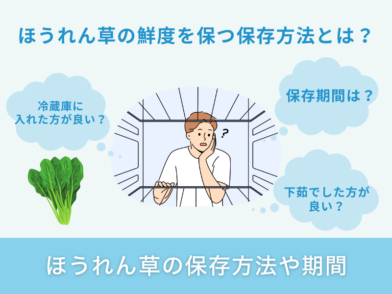 ほうれん草の保存方法や期間