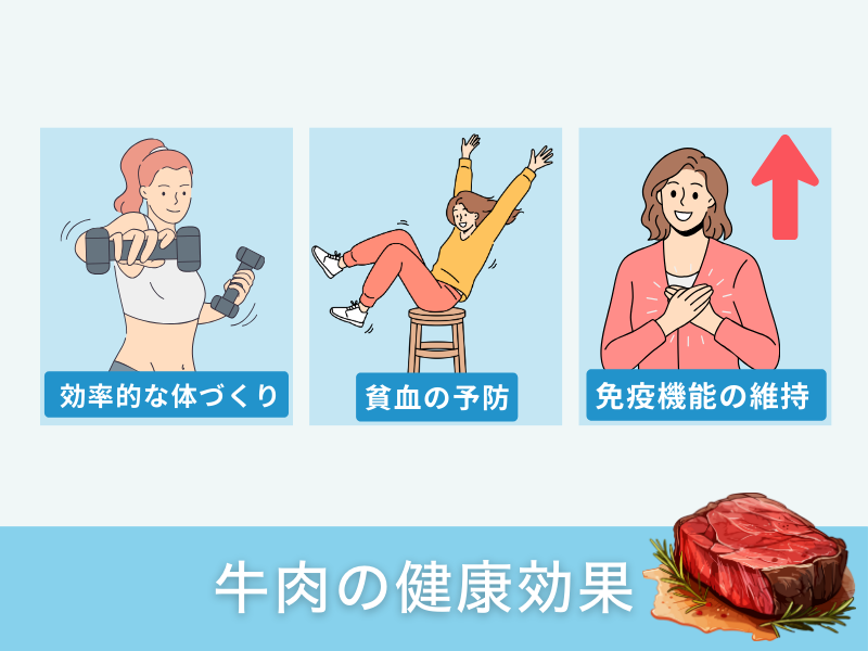 牛肉の健康効果