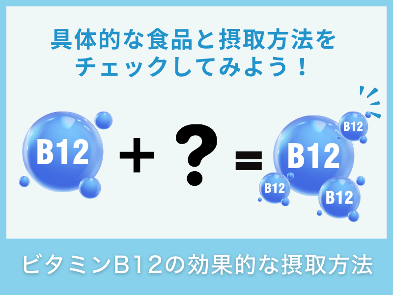 ビタミンB12の効率的な摂取方法