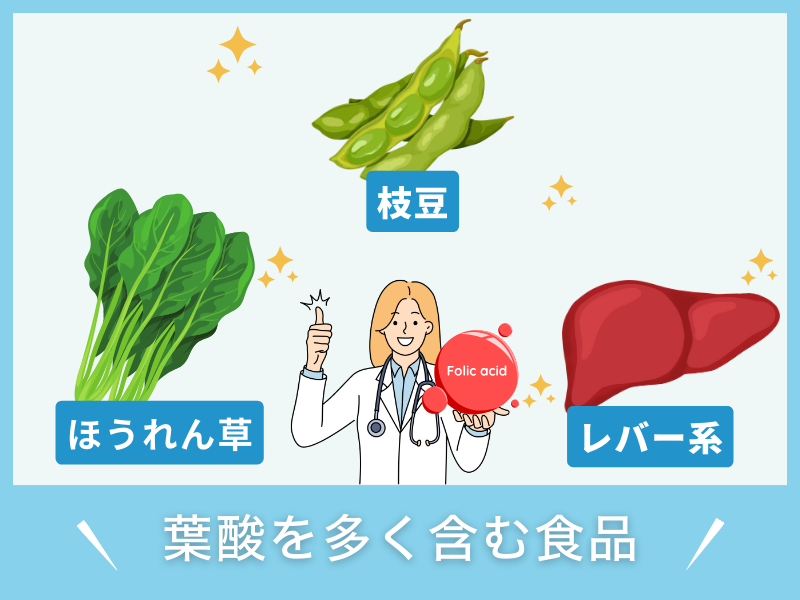 葉酸を多く含む食品